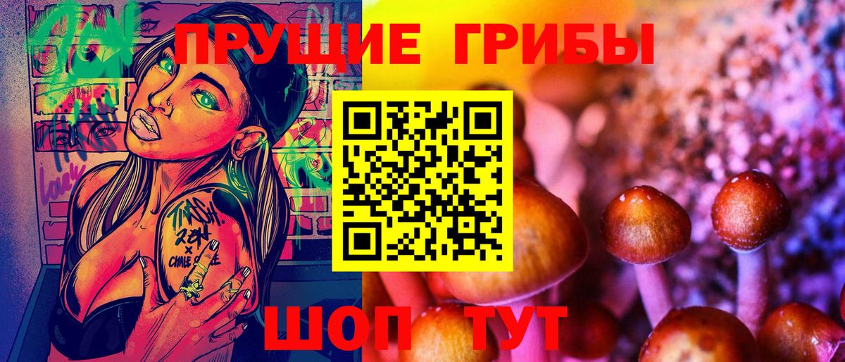 Галлюциногенные грибы Psilocybe Белово